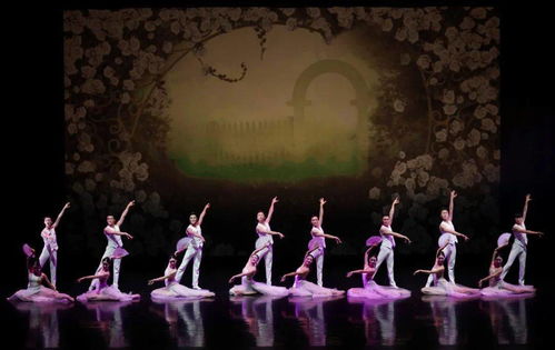 舞動(dòng)經(jīng)典 以舞今信息為媒，重賞歌劇名篇新境